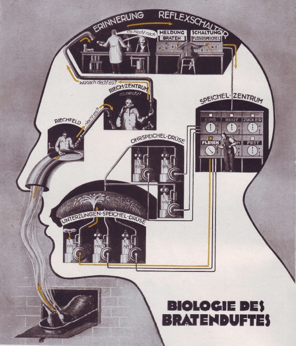 Fritz Kahn: The connection between the sense of smell and the salivary reflex as an industrial process (1927)