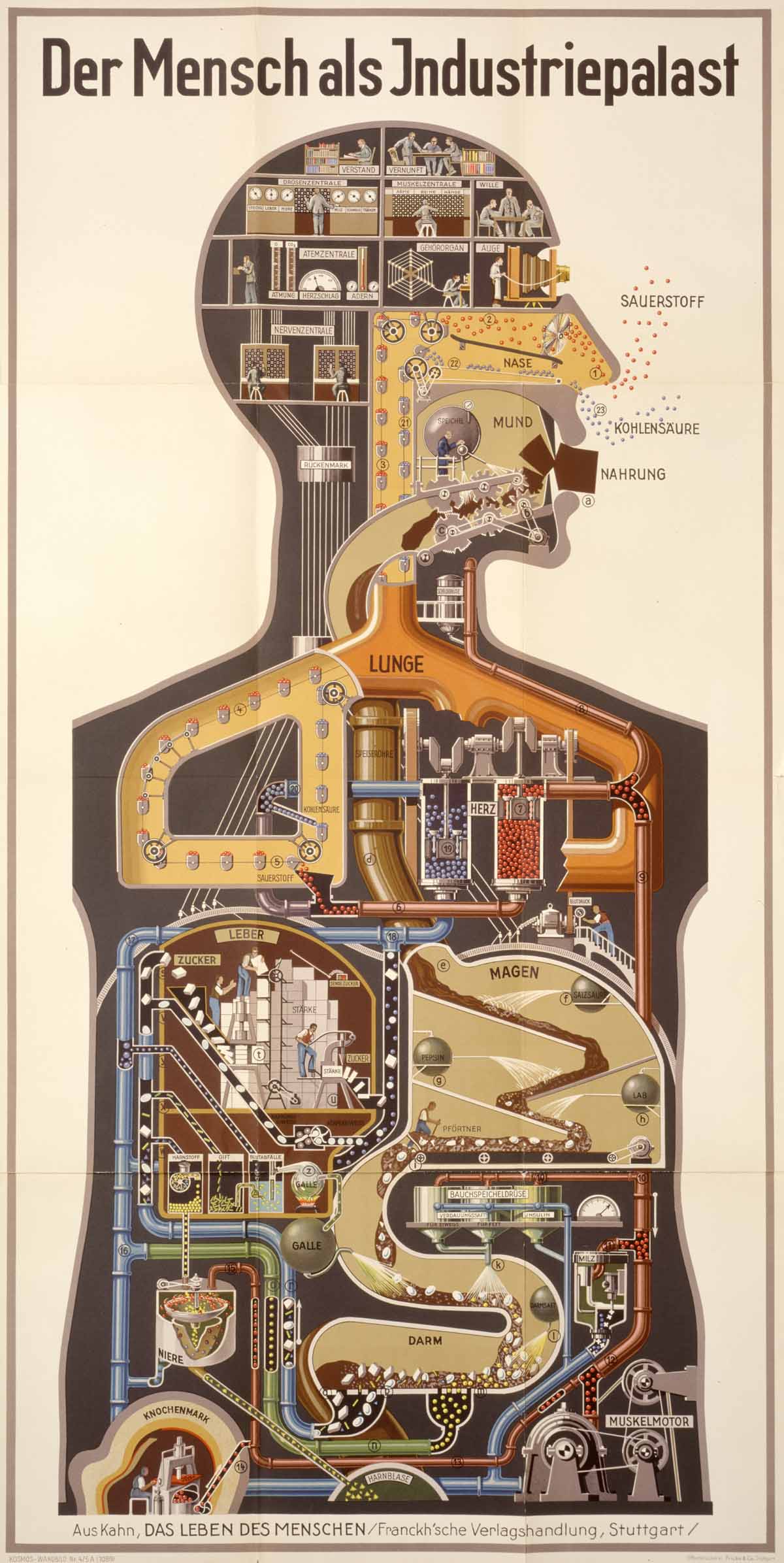Fritz Kahn: "Man as Industrial Palace" (1927)